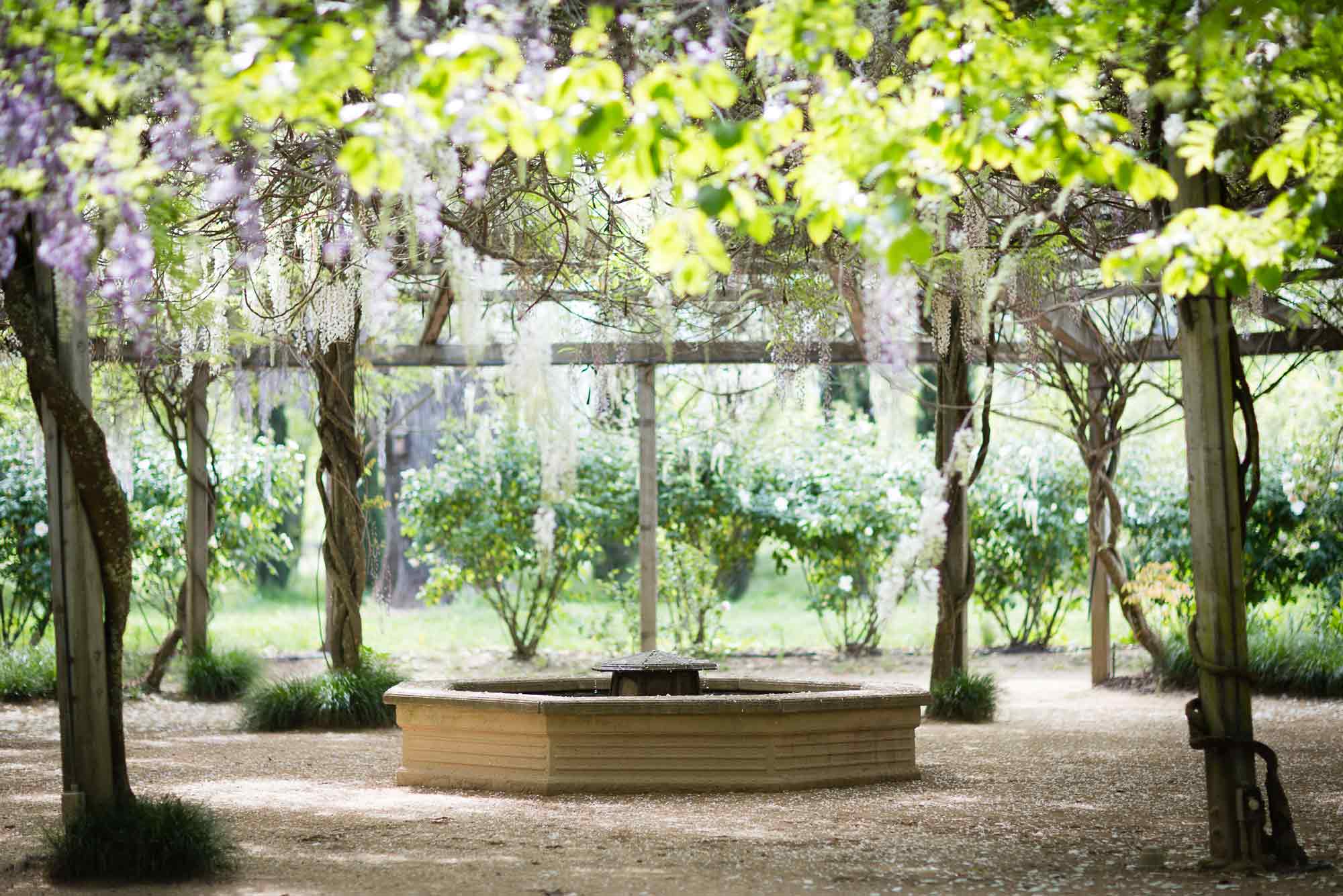 Campovida-Green-Barn-Low-Res-Web